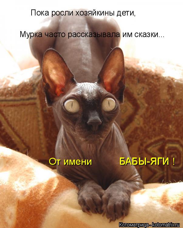 Котоматрица: Пока росли хозяйкины дети, Мурка часто рассказывала им сказки... От имени БАБЫ-ЯГИ БАБЫ-ЯГИ !