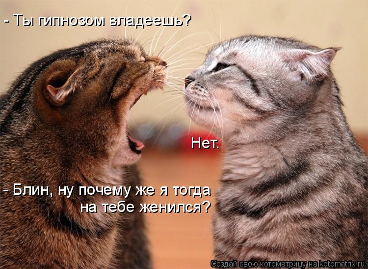 Котоматрица: - Ты гипнозом владеешь? Нет. - Блин, ну почему же я тогда  на тебе женился?