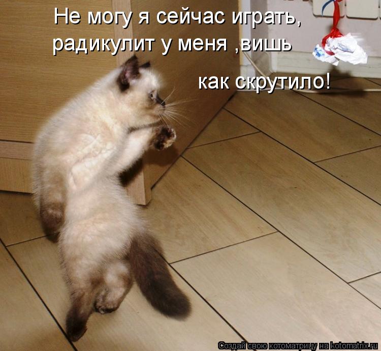 Котоматрица: Не могу я сейчас играть, радикулит у меня ,вишь  как скрутило!
