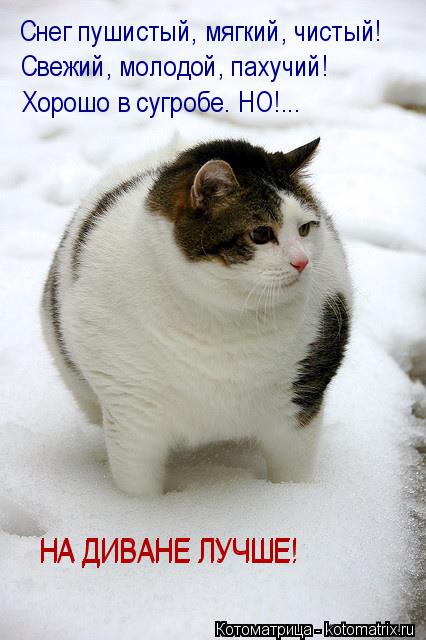 Котоматрица: Снег пушистый, мягкий, чистый! Свежий, молодой, пахучий! Хорошо в сугробе. НО!... НА ДИВАНЕ ЛУЧШЕ! НА ДИВАНЕ ЛУЧШЕ!