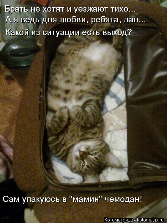 Котоматрица: Брать не хотят и уезжают тихо... А я ведь для любви, ребята, дан... Какой из ситуации есть выход? Сам упакуюсь в "мамин" чемодан!