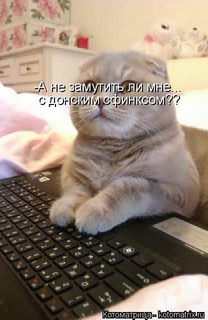 Котоматрица: -А не замутить ли мне... с донским сфинксом??