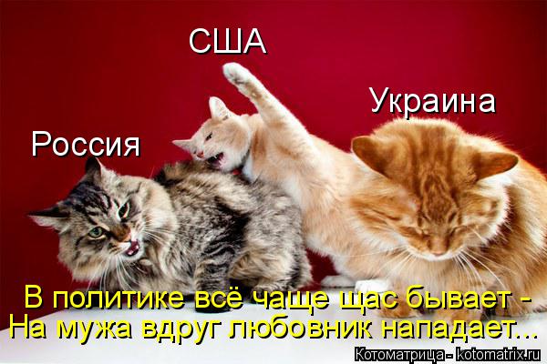 Котоматрица: Россия Украина США В политике всё чаще щас бывает -  На мужа вдруг любовник нападает...