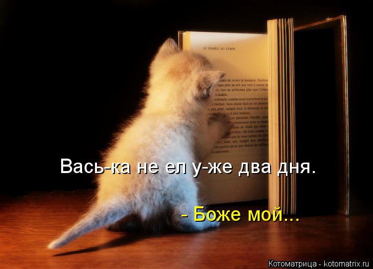 Котоматрица: Вась-ка не ел у-же два дня. - Боже мой...