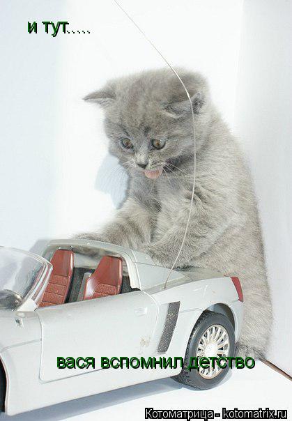 Котоматрица: и тут..... вася вспомнил детство