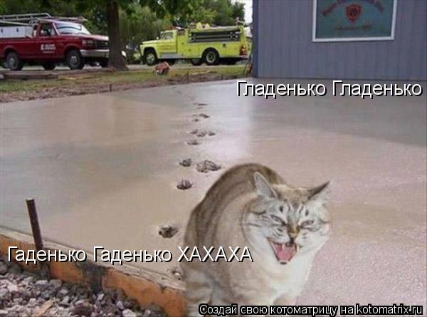Котоматрица: Гладенько Гладенько  Гаденько Гаденько ХАХАХА