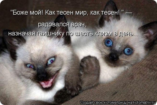 "Боже мой! Как тесен мир, как тесен! " — радовался врач, назначая гаишнику по шесть клизм в день...... Котоматрица: "Боже мой! Как тесен мир, как тесен! " — радовался врач, назначая гаишнику по шесть клизм в день...