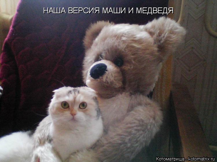 Котоматрица: НАША ВЕРСИЯ МАШИ И МЕДВЕДЯ