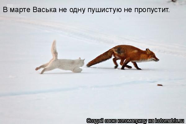 Котоматрица: В марте Васька не одну пушистую не пропустит.