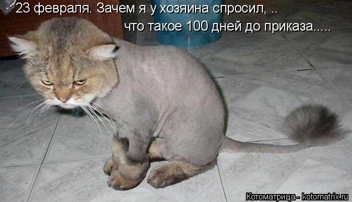 23 февраля. Зачем я у хозяина спросил, .. что такое 100 дней до приказа........ Котоматрица: 23 февраля. Зачем я у хозяина спросил, .. что такое 100 дней до приказа.....