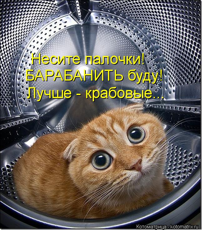 Котоматрица: Лучше - крабовые... БАРАБАНИТЬ буду! Несите палочки!