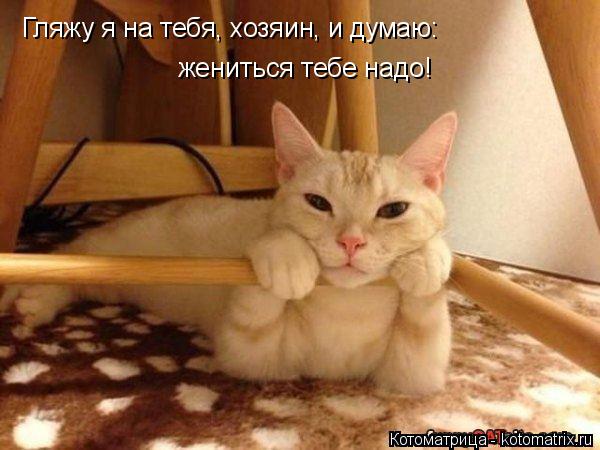 Котоматрица: Гляжу я на тебя, хозяин, и думаю: жениться тебе надо!