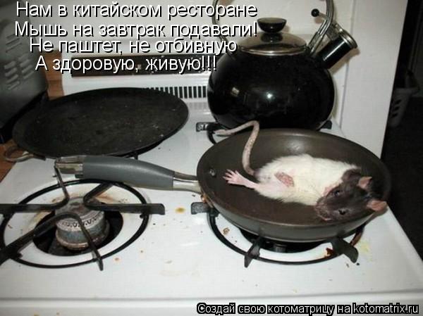 Котоматрица: Нам в китайском ресторане Мышь на завтрак подавали! А здоровую, живую!!! Не паштет, не отбивную