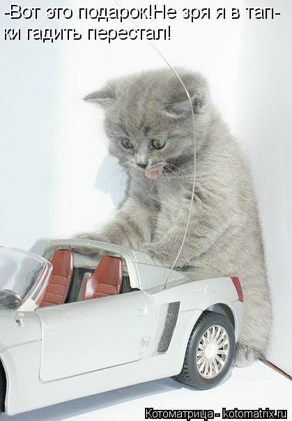 Котоматрица: -Вот это подарок!Не зря я в тап- ки гадить перестал!