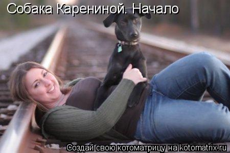 Котоматрица: Собака Карениной. Начало