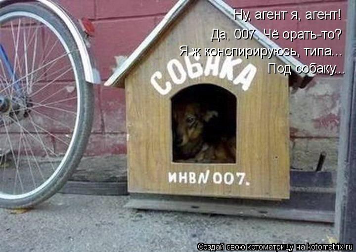 Котоматрица: Ну, агент я, агент! Да, 007. Чё орать-то? Я ж конспирируюсь, типа... Под собаку...