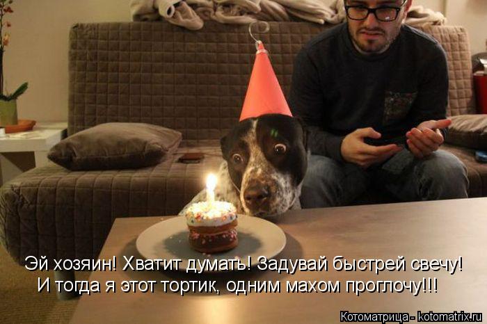 Котоматрица: Эй хозяин! Хватит думать! Задувай быстрей свечу! И тогда я этот тортик, одним махом проглочу!!!