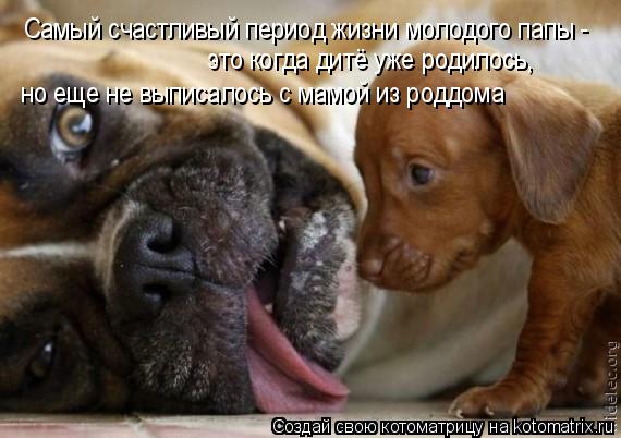 Самый счастливый период жизни молодого папы - это когда дитё уже родилось, но еще не выписалось с ма... Котоматрица: Самый счастливый период жизни молодого папы - это когда дитё уже родилось, но еще не выписалось с мамой из роддома