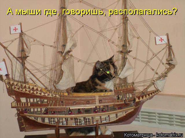 Котоматрица: А мыши где, говоришь, располагались?