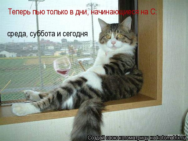 Котоматрица: Теперь пью только в дни, начинающиеся на С:  среда, суббота и сегодня