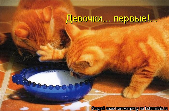 Девочки... первые!...... Котоматрица: Девочки... первые!...