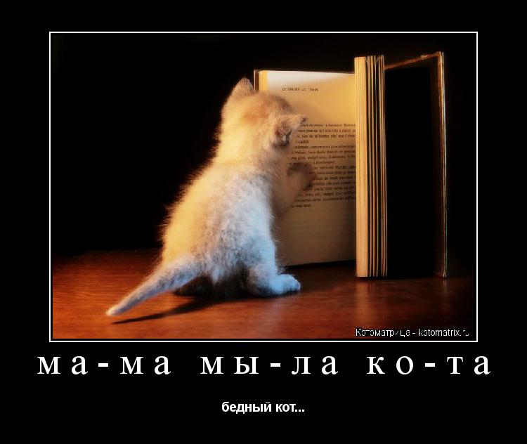 Котоматрица: ма-ма мы-ла ко-та бедный кот...