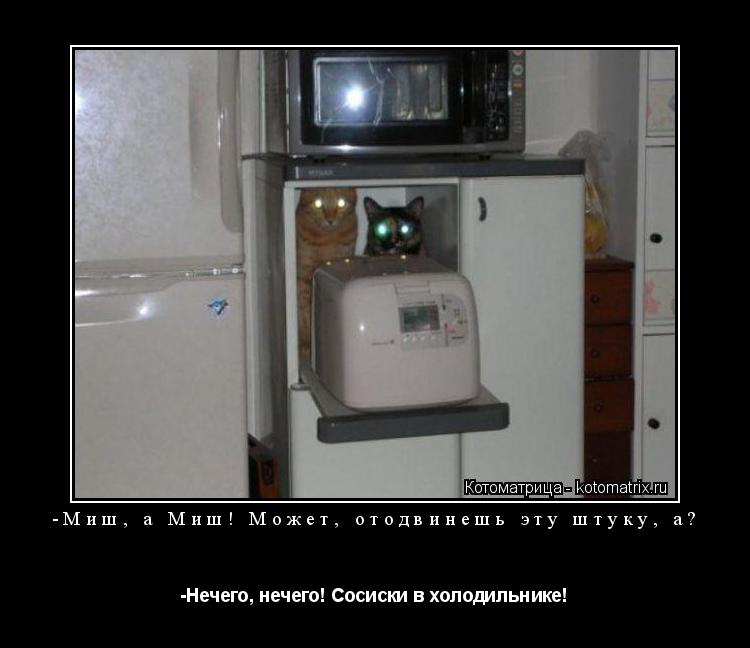 -Миш, а Миш! Может, отодвинешь эту штуку, а? -Нечего, нечего! Сосиски в холодильнике!... Котоматрица: -Миш, а Миш! Может, отодвинешь эту штуку, а? -Нечего, нечего! Сосиски в холодильнике!