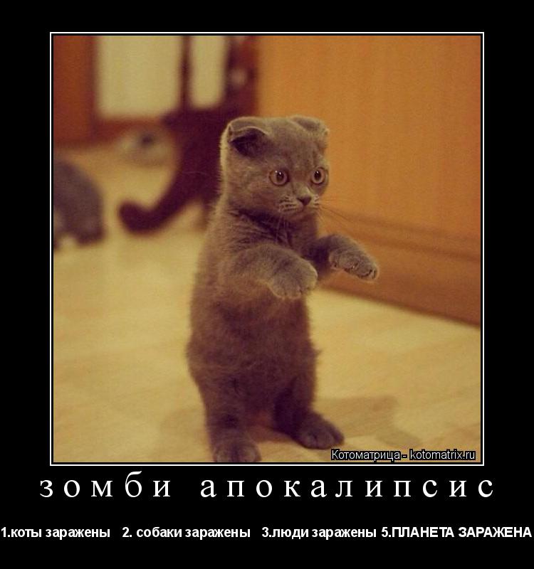 зомби апокалипсис 1.коты заражены 2. собаки заражены 3.люди заражены 5.ПЛАНЕТА ЗАРАЖЕНА... Котоматрица: зомби апокалипсис 1.коты заражены 2. собаки заражены 3.люди заражены 5.ПЛАНЕТА ЗАРАЖЕНА