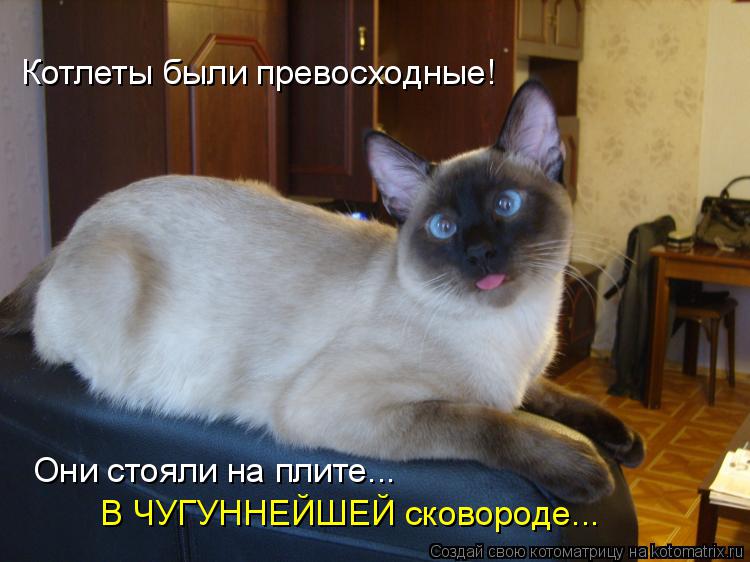 Котлеты были превосходные! Они стояли на плите... В ЧУГУННЕЙШЕЙ сковороде...... Котоматрица: Котлеты были превосходные! Они стояли на плите... В ЧУГУННЕЙШЕЙ сковороде...