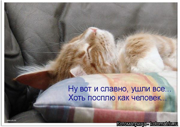 Котоматрица: Ну вот и славно, ушли все... Хоть посплю как человек...
