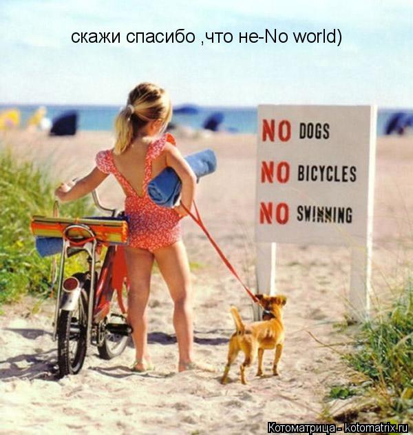 Котоматрица: скажи спасибо ,что не-No world)