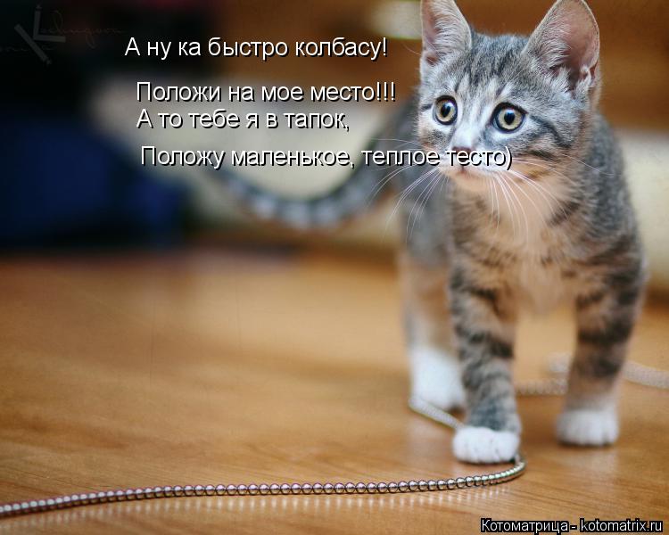 А ну ка быстро колбасу! Положи на мое место!!! А то тебе я в тапок, Положу маленькое, теплое тесто)... Котоматрица: А ну ка быстро колбасу! Положи на мое место!!! А то тебе я в тапок, Положу маленькое, теплое тесто)