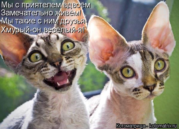 Мы с приятелем вдвоём Замечательно живём! Мы такие с ним друзья- Хмурый-он,весёлый-я!... Котоматрица: Мы с приятелем вдвоём Замечательно живём! Мы такие с ним друзья- Хмурый-он,весёлый-я!