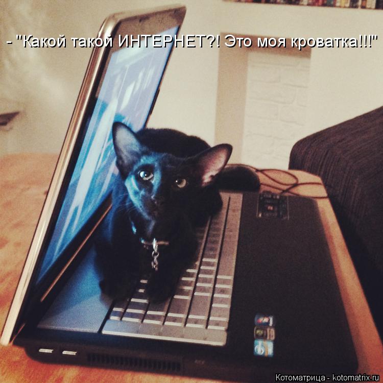 - "Какой такой ИНТЕРНЕТ?! Это моя кроватка!!!"... Котоматрица: - "Какой такой ИНТЕРНЕТ?! Это моя кроватка!!!"