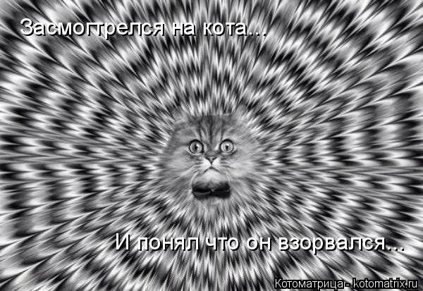 Котоматрица: Засмогтрелся на кота... И понял что он взорвался...