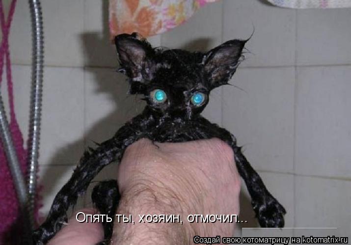 Опять ты, хозяин, отмочил...... Котоматрица: Опять ты, хозяин, отмочил...