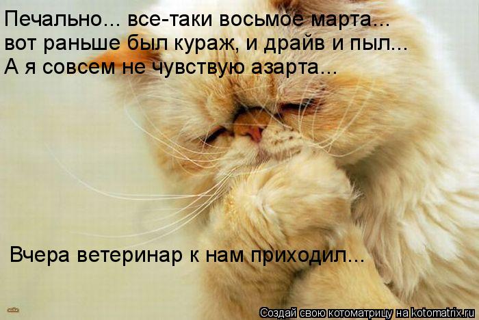 Печально... все-таки восьмое марта... вот раньше был кураж, и драйв и пыл... А я совсем не чувствую а... Котоматрица: Печально... все-таки восьмое марта... вот раньше был кураж, и драйв и пыл... А я совсем не чувствую азарта... Вчера ветеринар к нам приходил...