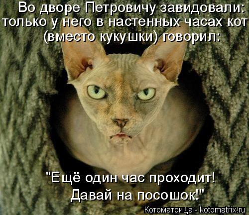 Во дворе Петровичу завидовали: только у него в настенных часах кот "Ещё один час проходит! Давай на... Котоматрица: Во дворе Петровичу завидовали: только у него в настенных часах кот "Ещё один час проходит! Давай на посошок!" (вместо кукушки) говорил: