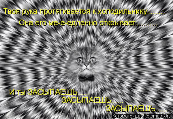 kotomatritsa_Bo.jpg