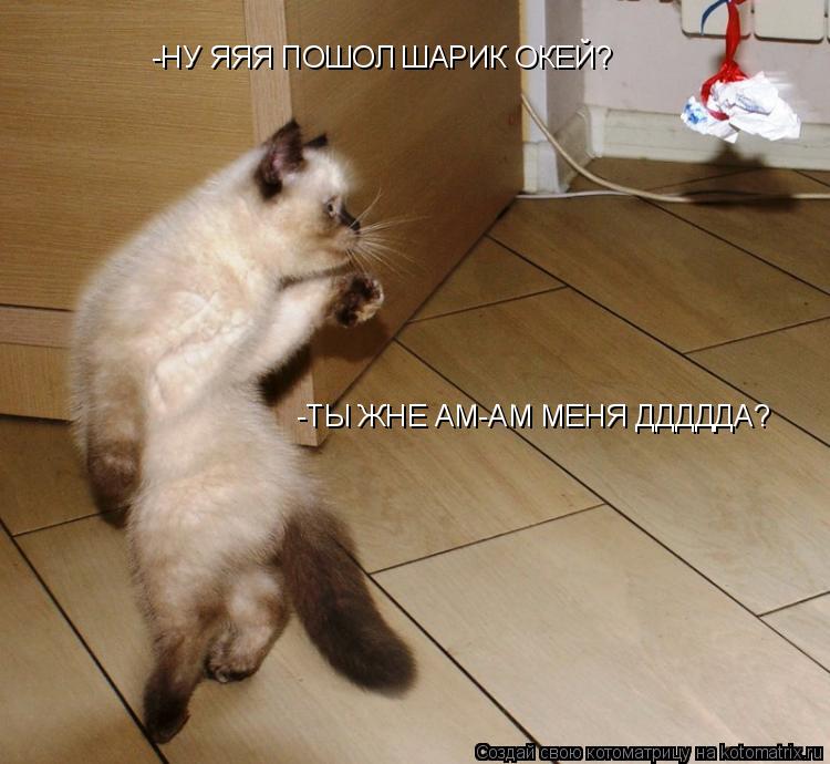 -НУ ЯЯЯ ПОШОЛ ШАРИК ОКЕЙ? -ТЫ ЖНЕ АМ-АМ МЕНЯ ДДДДДА?... Котоматрица: -НУ ЯЯЯ ПОШОЛ ШАРИК ОКЕЙ? -ТЫ ЖНЕ АМ-АМ МЕНЯ ДДДДДА?