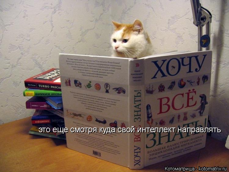 это еще смотря куда свой интеллект направлять... Котоматрица: это еще смотря куда свой интеллект направлять