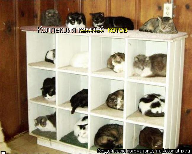 Коллекция камней --------- котов... Котоматрица: Коллекция камней --------- котов