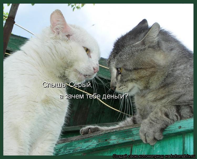 Слышь, Серый, а зачем тебе деньги?... Котоматрица: Слышь, Серый, а зачем тебе деньги?