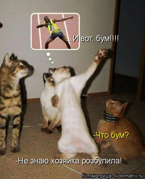 Котоматрица: ...И вот, бум!!!! -Что бум? -Не знаю хозяйка розбулила!