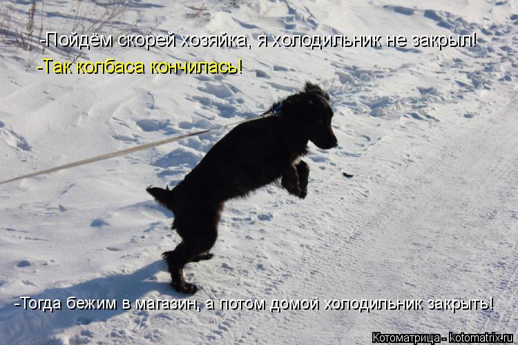 Котоматрица: -Пойдём скорей хозяйка, я холодильник не закрыл! -Так колбаса кончилась! -Тогда бежим в магазин, а потом домой холодильник закрыть!