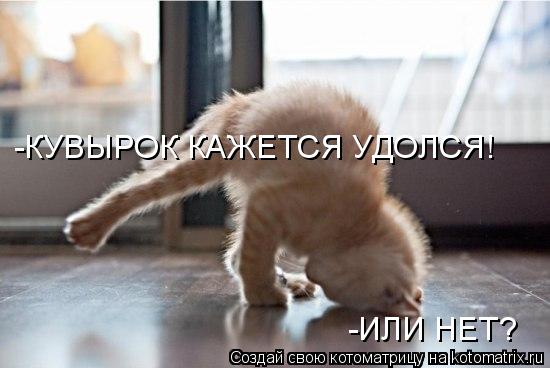 -КУВЫРОК КАЖЕТСЯ УДОЛСЯ! -ИЛИ НЕТ?... Котоматрица: -КУВЫРОК КАЖЕТСЯ УДОЛСЯ! -ИЛИ НЕТ?