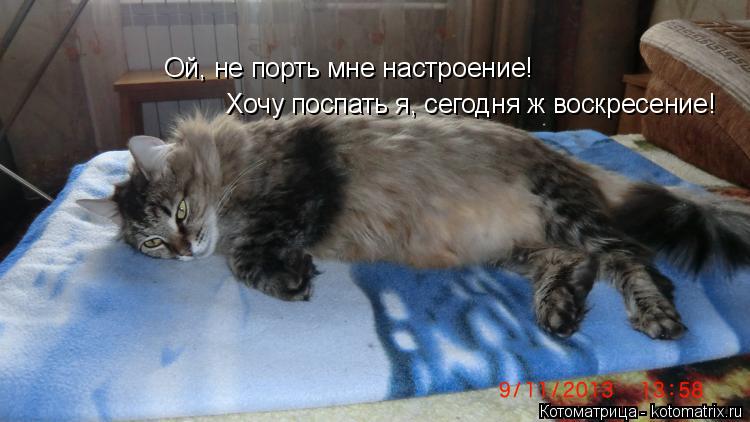 Ой, не порть мне настроение! Хочу поспать я, сегодня ж воскресение!... Котоматрица: Ой, не порть мне настроение! Хочу поспать я, сегодня ж воскресение!
