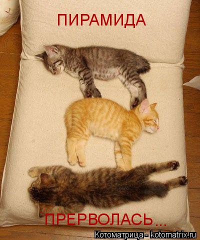 ПИРАМИДА ПРЕРВОЛАСЬ ...... Котоматрица: ПИРАМИДА ПРЕРВОЛАСЬ ...