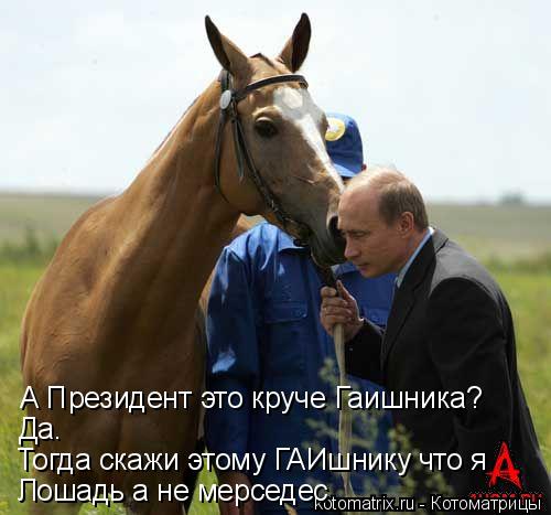 Котоматрица: Лошадь а не мерседес Тогда скажи этому ГАИшнику что я А Президент это круче Гаишника? Да.