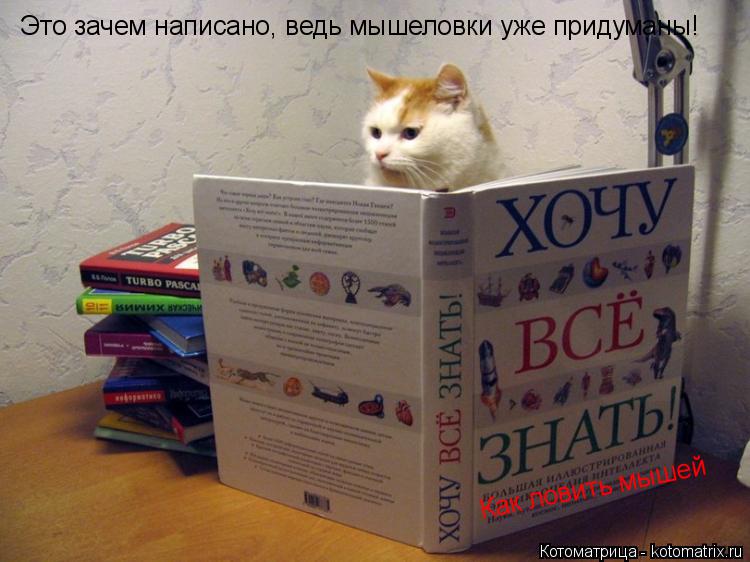 Как ловить мышей Это зачем написано, ведь мышеловки уже придуманы!... Котоматрица: Как ловить мышей Это зачем написано, ведь мышеловки уже придуманы!